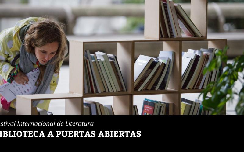 IMAGEN