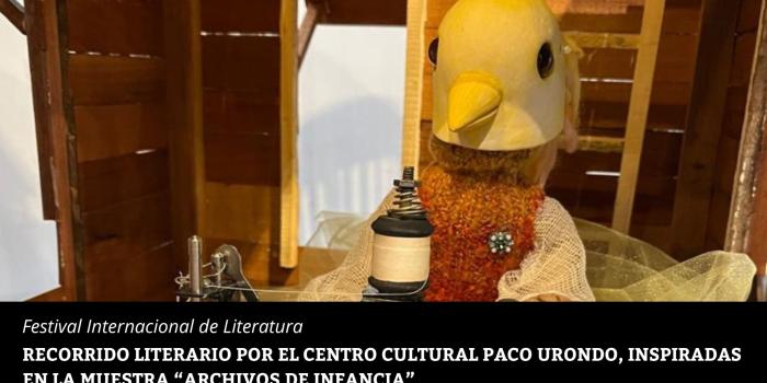 IMAGEN